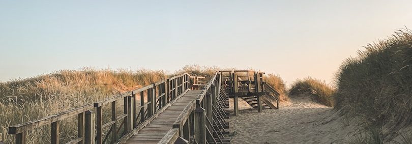 Klarheit gibt Orientierung Holzsteg durch Dünen - Orientierung und Klarheit im traumasensiblen Hypnosecoaching