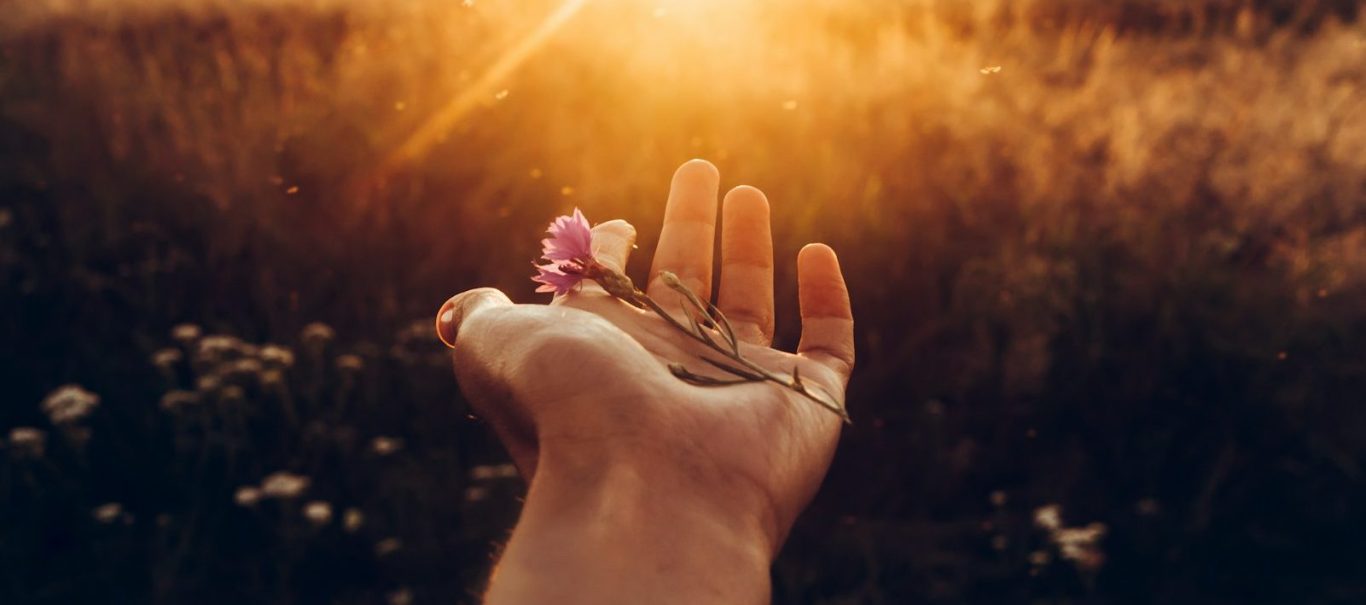 Raum geben statt festhalten Offene Hand im Sonnenlicht - Raum geben in traumasensibler Hypnosearbeit